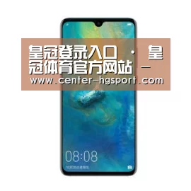 华为无线快充手机