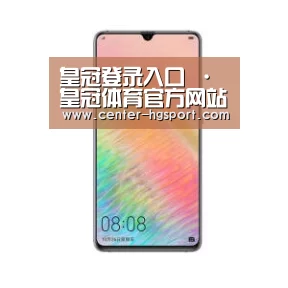 华为HUAWEI NOTE 8
