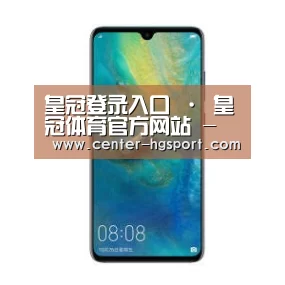 华为无线快充手机