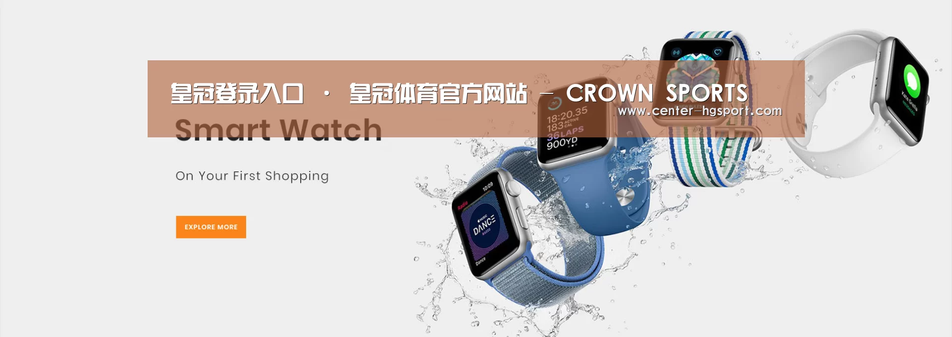 某某网络科技有限公司