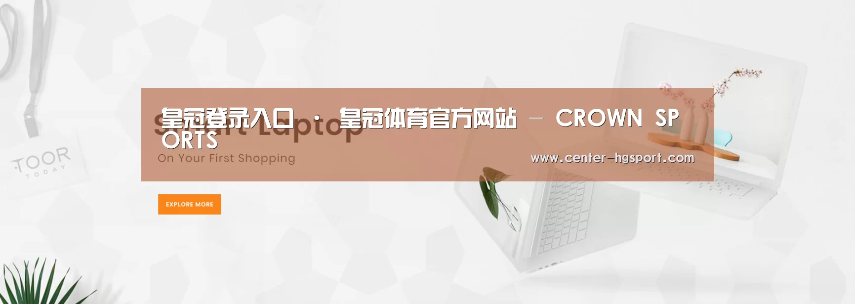 某某网络科技有限公司