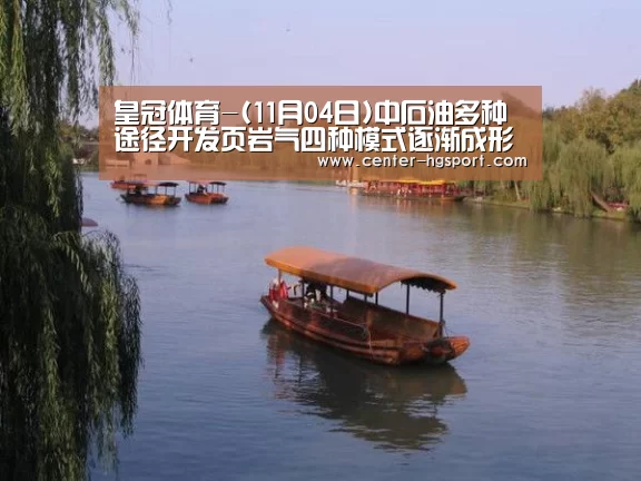 皇冠体育-(11月04日)中石油多种途径开发页岩气四种模式逐渐成形(图3) 皇冠体育网址