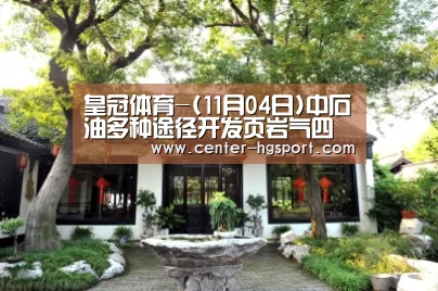 皇冠体育-(11月04日)中石油多种途径开发页岩气四种模式逐渐成形(图1) 皇冠体育官网