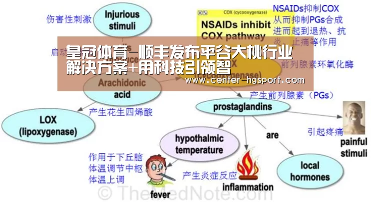 皇冠体育官网