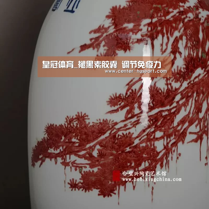 皇冠入口